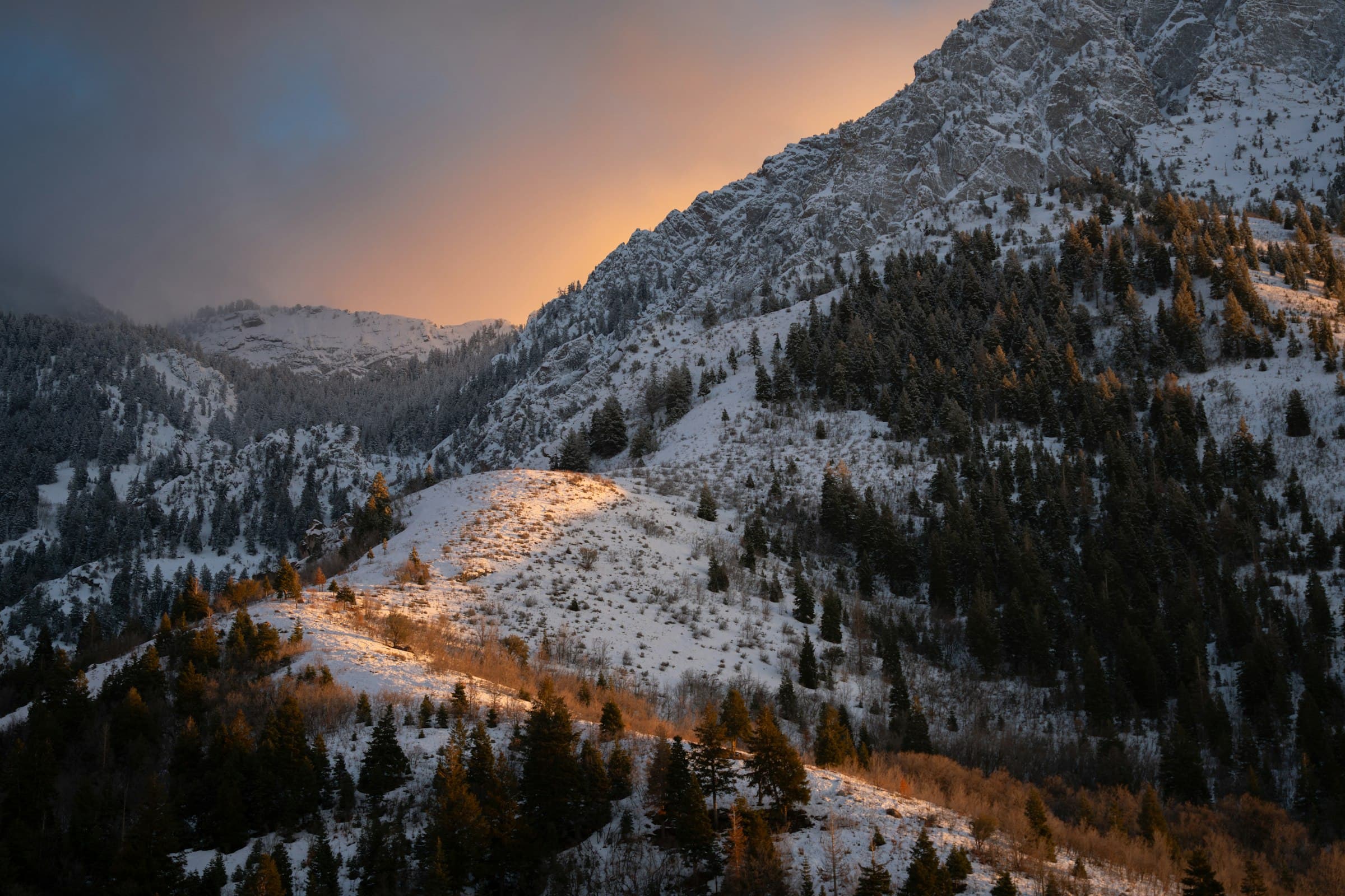 Mount Olympus rising through fog